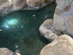 -渔乐里(智荟城店)