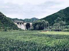 -遥桥古堡