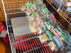 -蓝湾碧波·老字号·疍家非遗海上餐厅