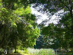 -长白岛森林公园