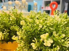 -长城汽车哈弗（重庆顺凯4S店）-地上停车场