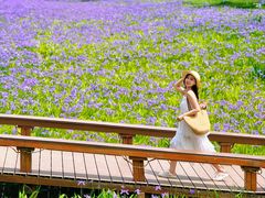 -汉长安城未央宫国家考古遗址公园