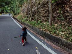 -大屏嶂森林公园