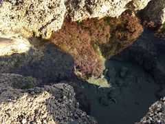 -摩拉基大圆石