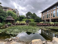 -昆明洲际酒店