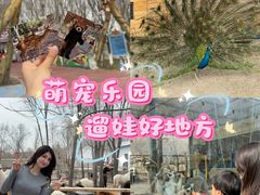 -水上乐园·欢乐世界