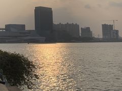 -洲头咀公园