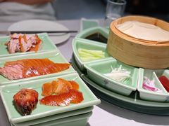 羲和烤鸭-羲和雅苑•北京烤鸭(国贸商城店)
