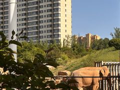 -太原动物园