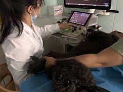 -达爱动物医院·犬猫分区·CT·复杂眼科(远洋山水分院)