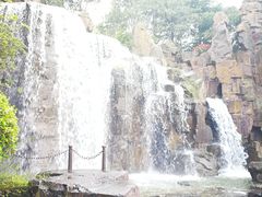 -上海鲜花港