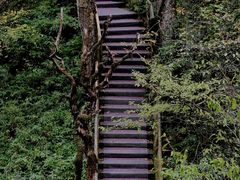 -龙苍沟森林公园