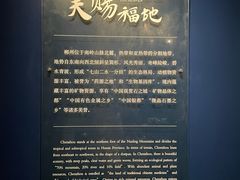 -郴州市博物馆