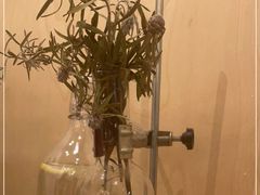 -常识咖啡common sense(春熙路店)