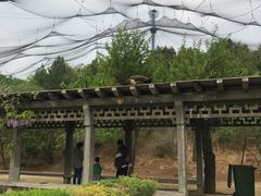 -森林公园(尖草坪区)