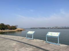 -长广溪湿地公园