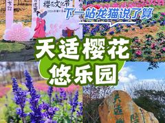 -天适樱花悠乐园