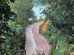 -广州市流溪河国家森林公园