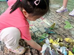 -上海大自然野生昆虫馆(东方明珠·爬宠昆虫探索中心)