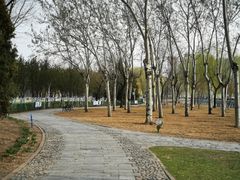 -泰丰公园