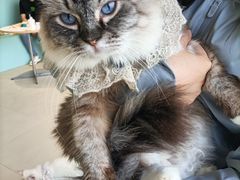 -怪兽屋·羊驼·猫咖·狗咖(俊华广场店)