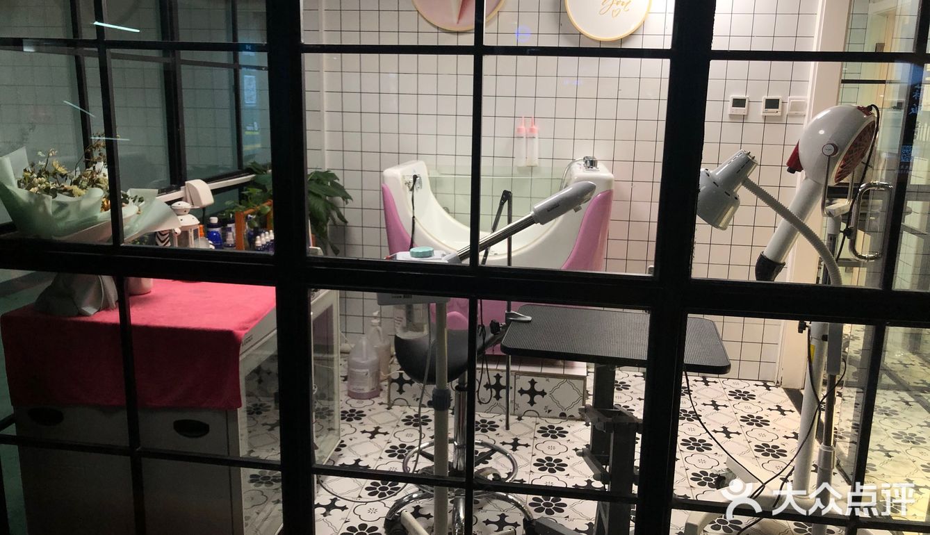小小香宠 宠爱我们每个宝宝