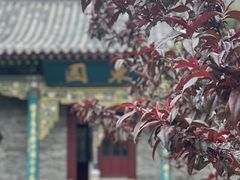 -晋祠公园