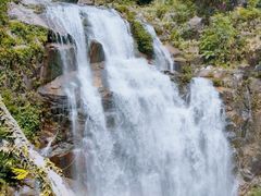 -海南热带雨林国家公园吊罗山景区