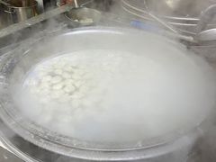 -回坊马二饺子馆