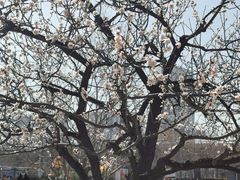 -南翠屏公园