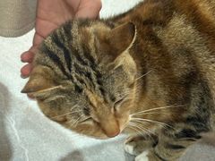 -广记海鲜(杨汊湖一店)