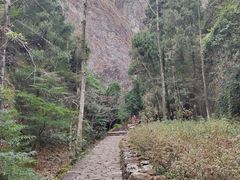 -雁荡山三折瀑景区