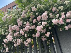 -汇贤府·李氏新鲁菜(万寿路店)