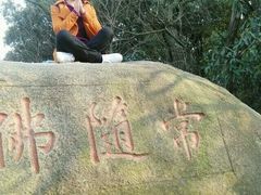 -灵岩山风景区