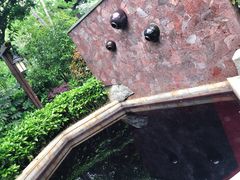 -天目湖涵田半山温泉