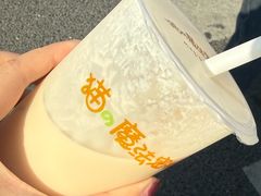 -猫的魔法密林(衣裳街店)