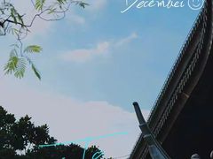 -龙华寺