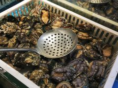 -甄品麦哲伦海鲜和牛自助(万达广场店)