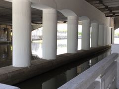 -嘉定紫藤园