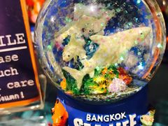 纪念品-暹罗海洋世界