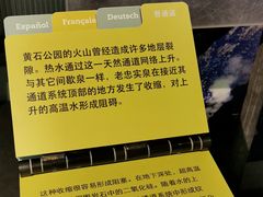 -老忠实间歇泉