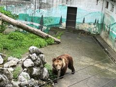 -成都动物园