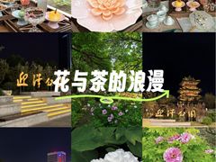 -迎泽公园