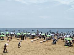 -碧海金沙