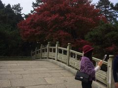 -庐山风景区花径公园