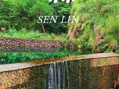 -大奇山国家森林公园