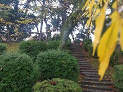 -名古屋城
