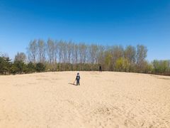 -东郊湿地公园