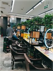 -藤野造型