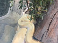-上海大自然野生昆虫馆(东方明珠·爬宠昆虫探索中心)